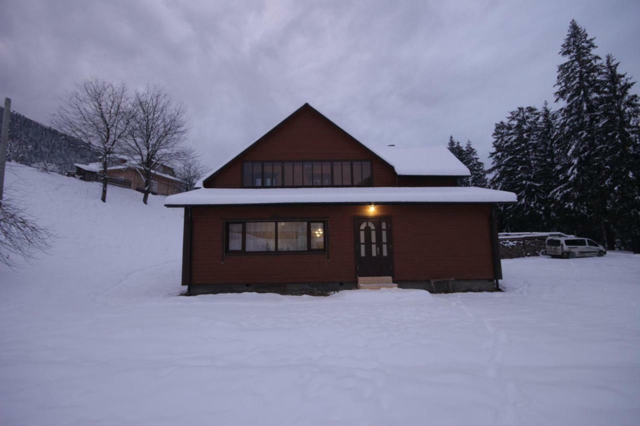 Ozdoba Villa Verkhovyna Dış mekan fotoğraf