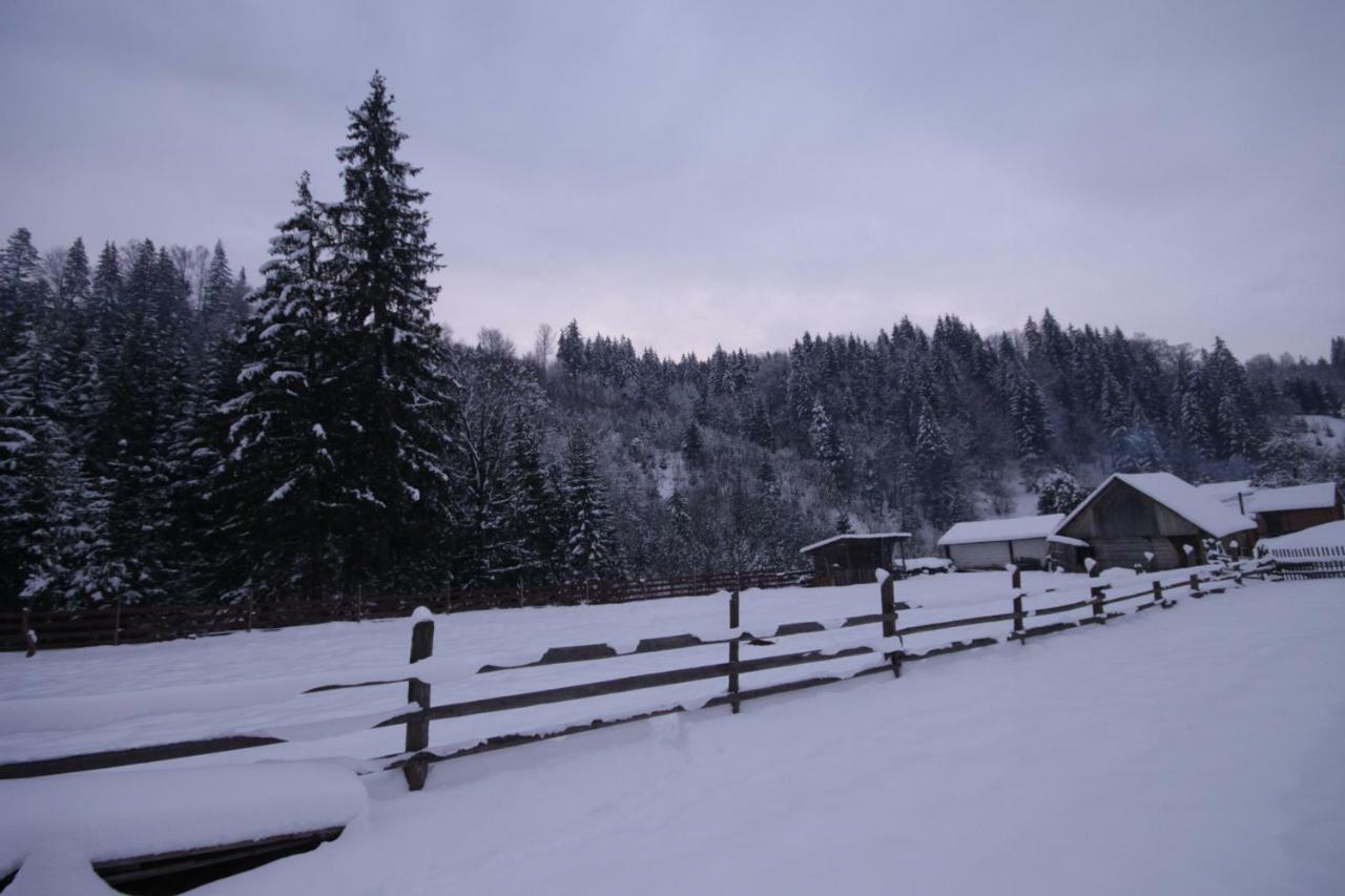 Ozdoba Villa Verkhovyna Dış mekan fotoğraf