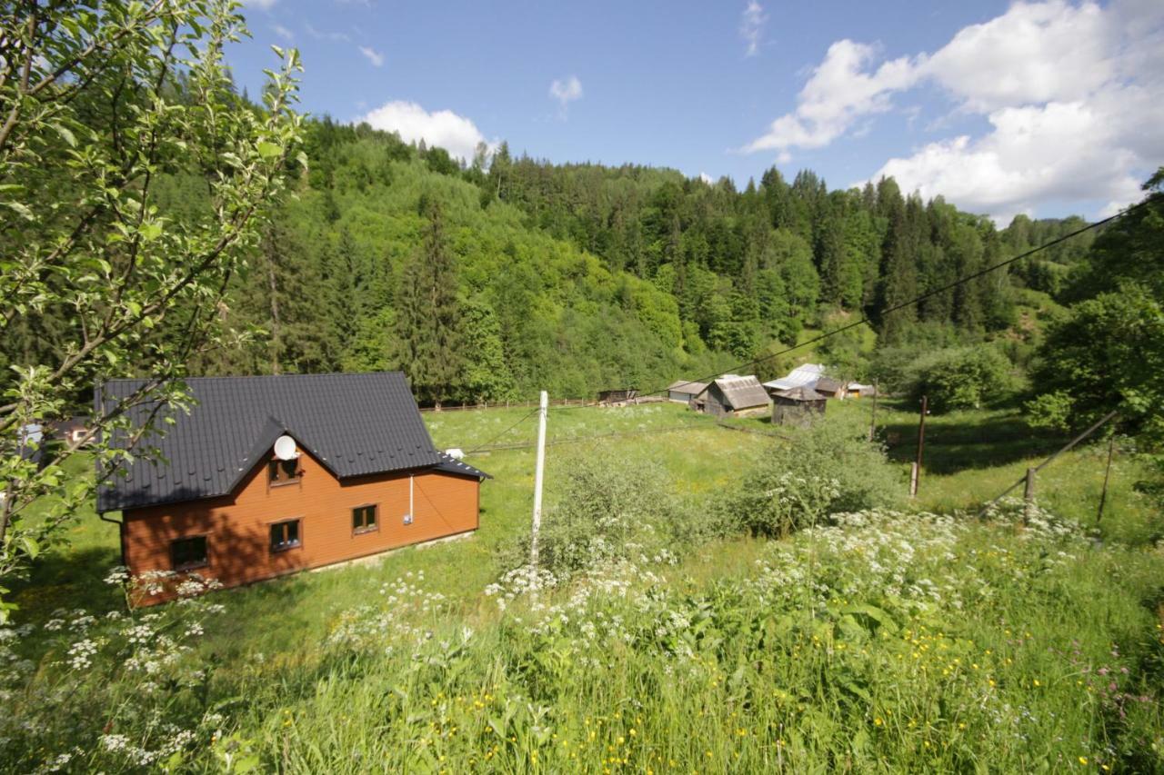 Ozdoba Villa Verkhovyna Dış mekan fotoğraf