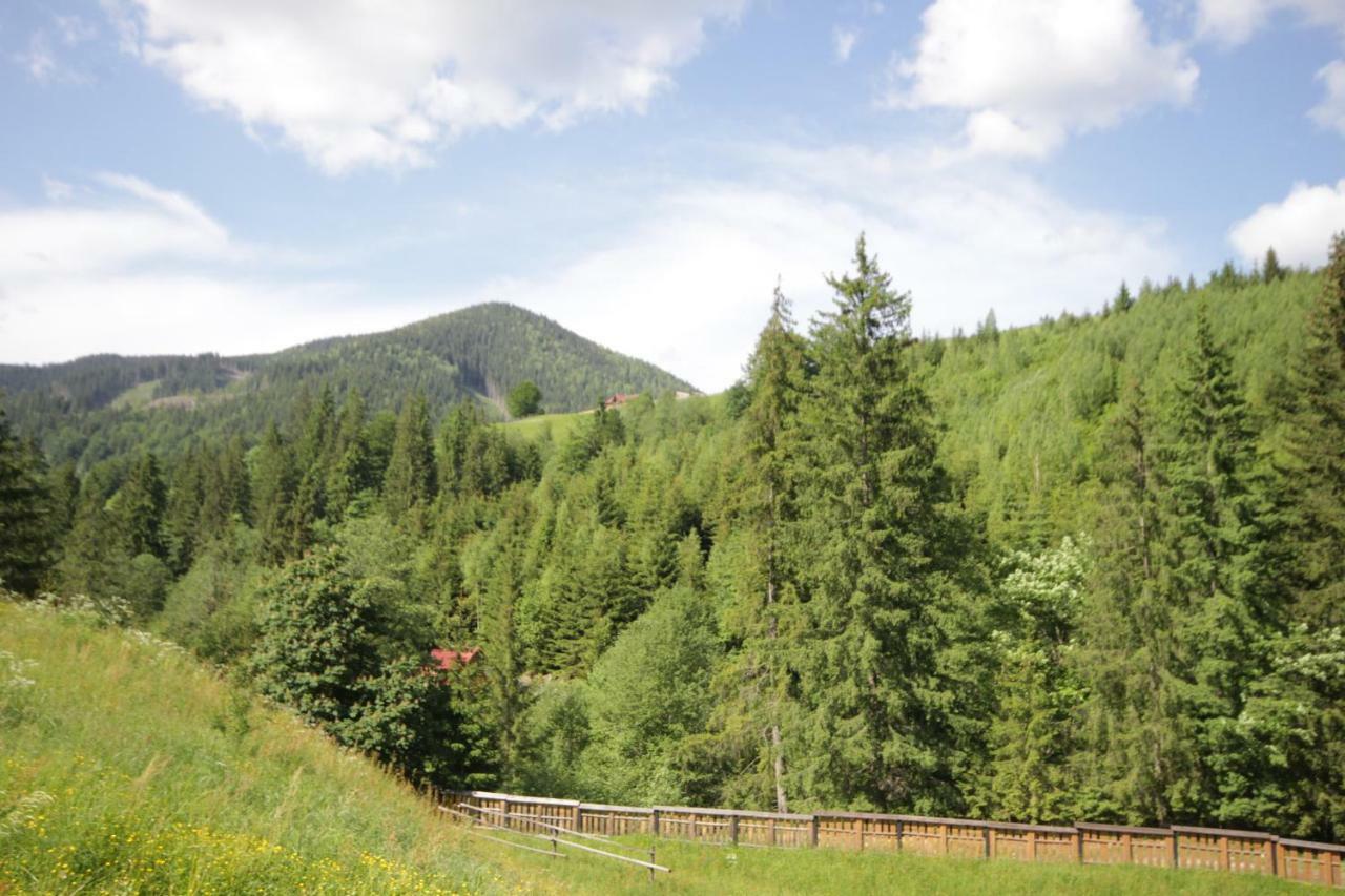 Ozdoba Villa Verkhovyna Dış mekan fotoğraf